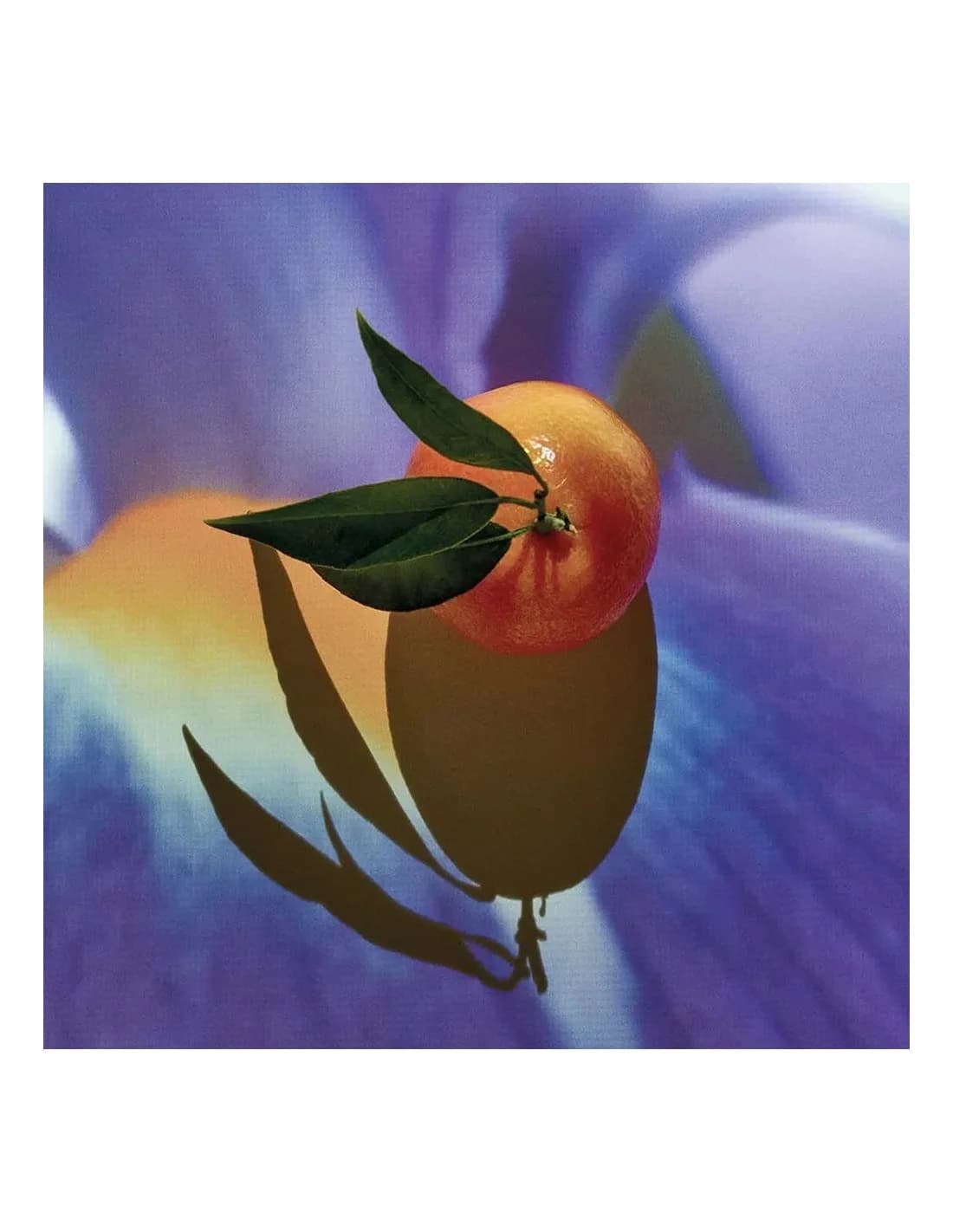 Loewe Solo Elixir 50 Vap M